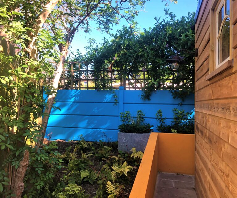 A bright blue boundary and pastel orange dividing wall add colour to an otherwise dark and shady part of the garden