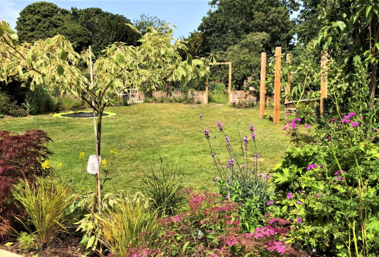 Densely planted bed, sunken trampoline, enclosed seating area