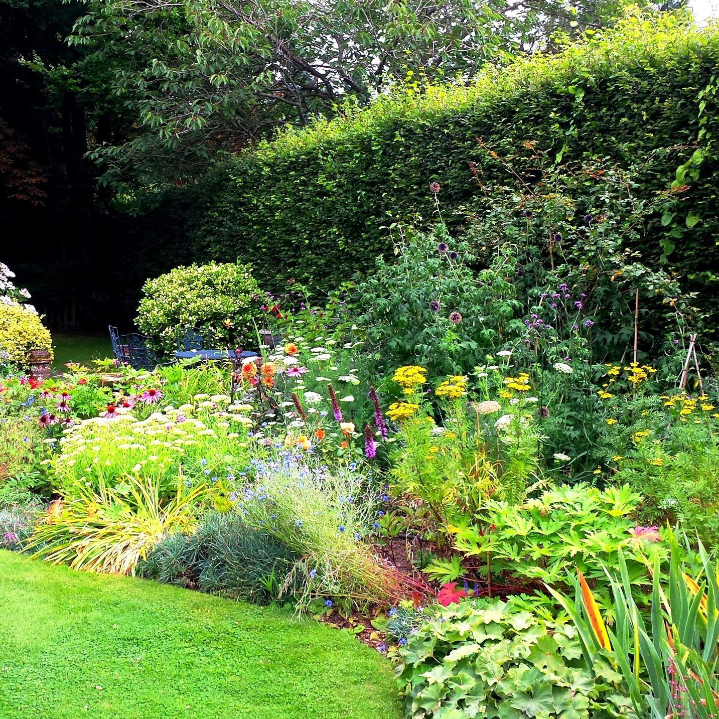 Densely planted cottage garden bed with flowers of many different colours