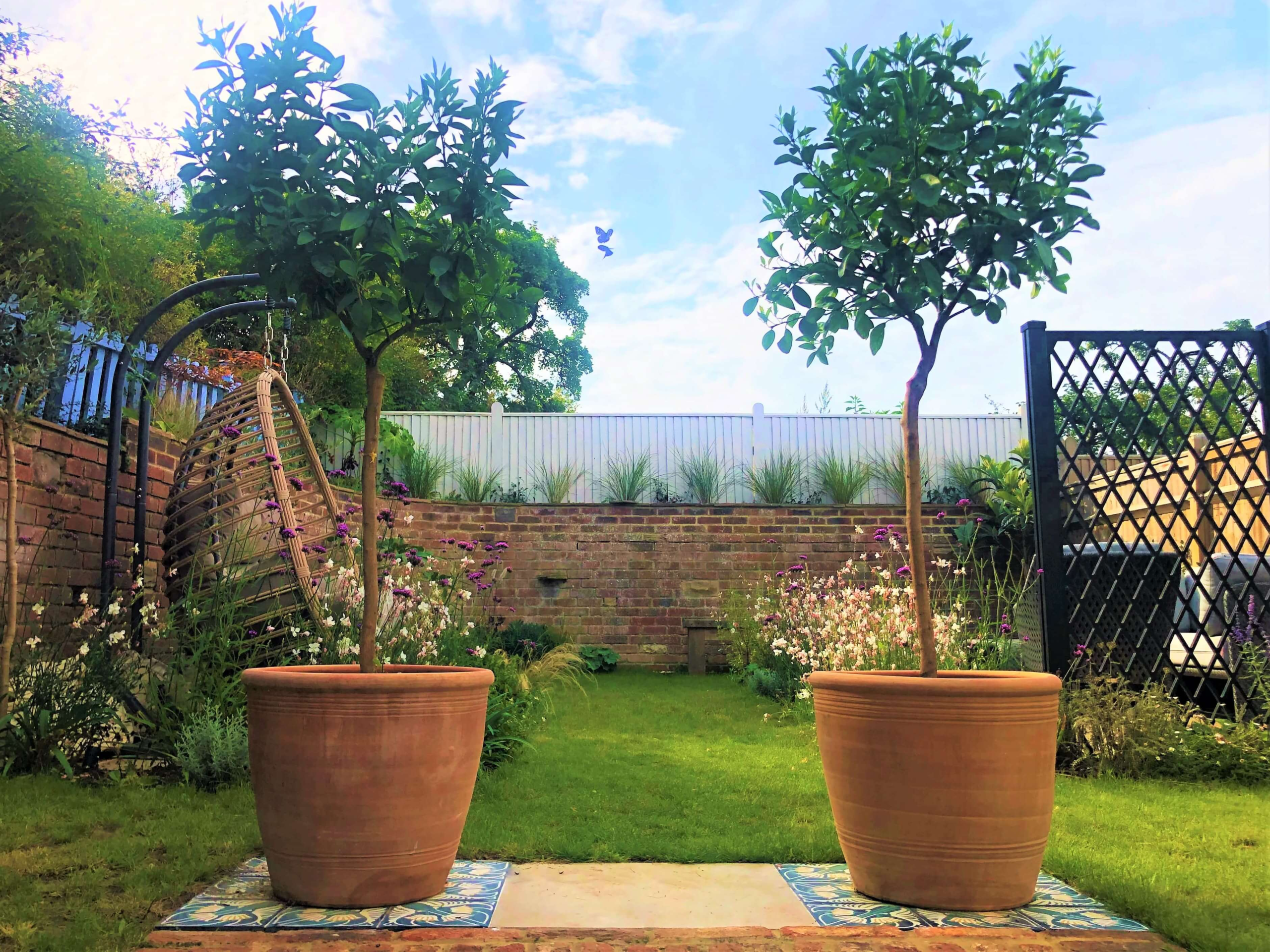 Orange trees in terracotta post at the garden entrance