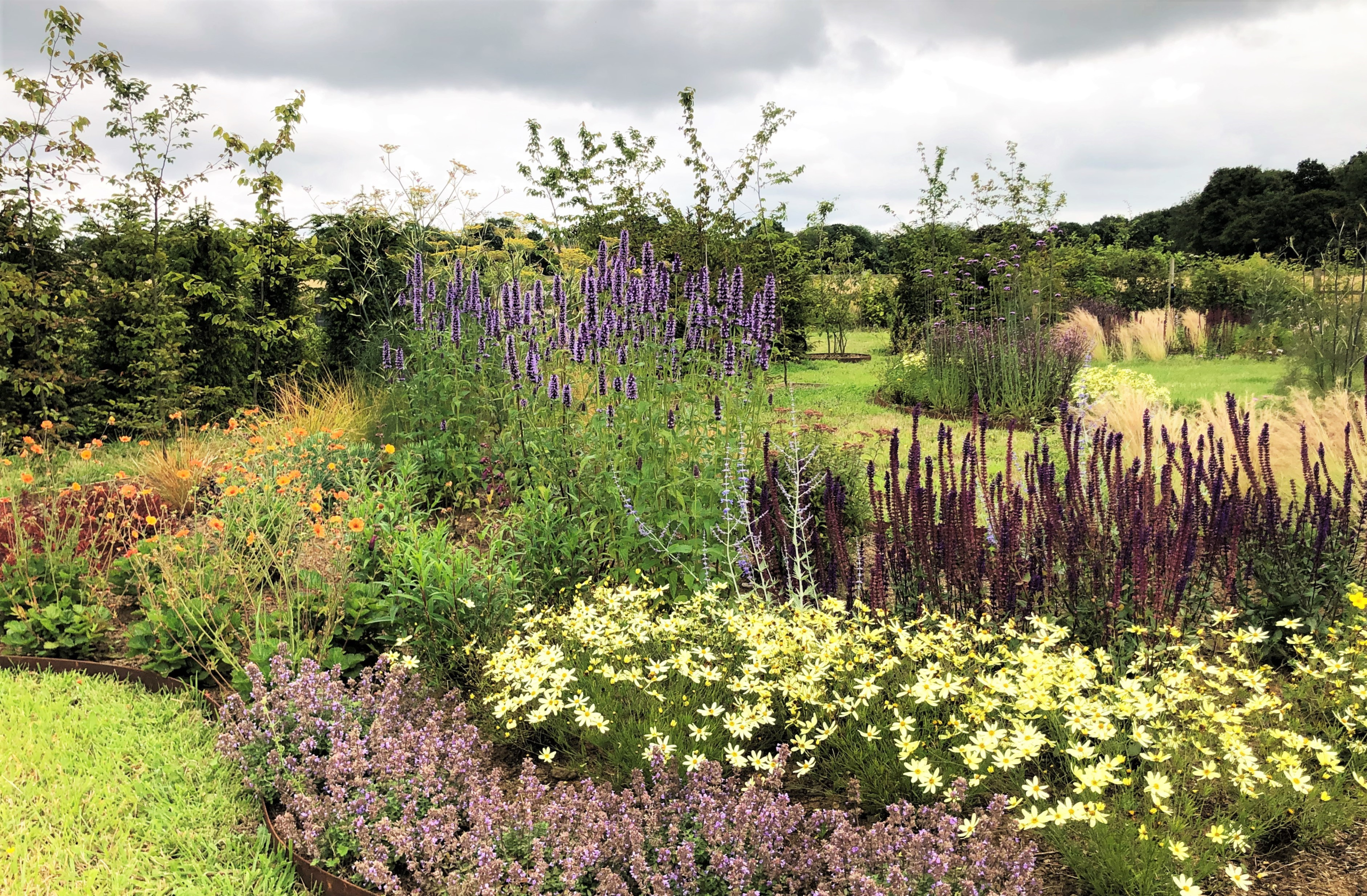 Densely planted, colourful flower bed 