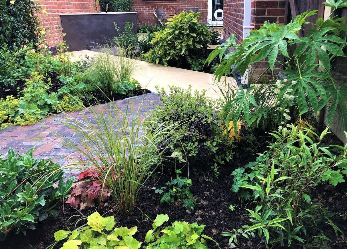 Dense planting in a garden turned on a 45 degree angle Dense planting beds and herringbone paths in a small garden