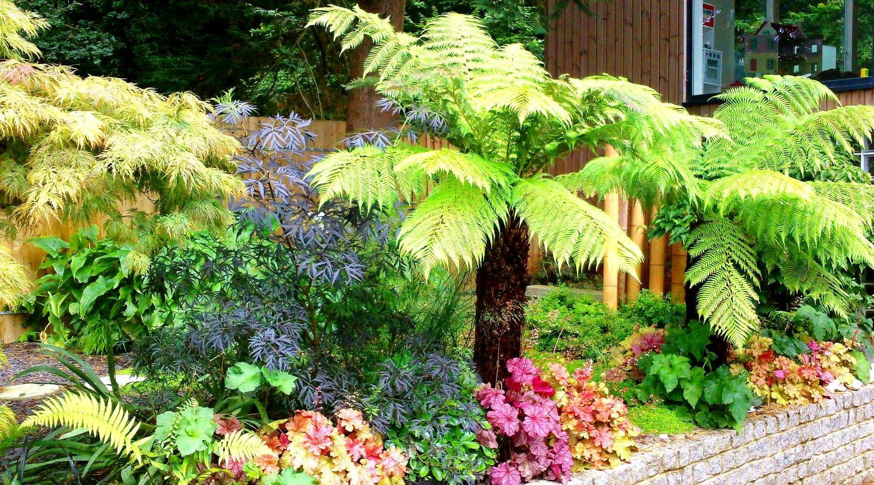Dense, colourful planting hiding a Japanese garden