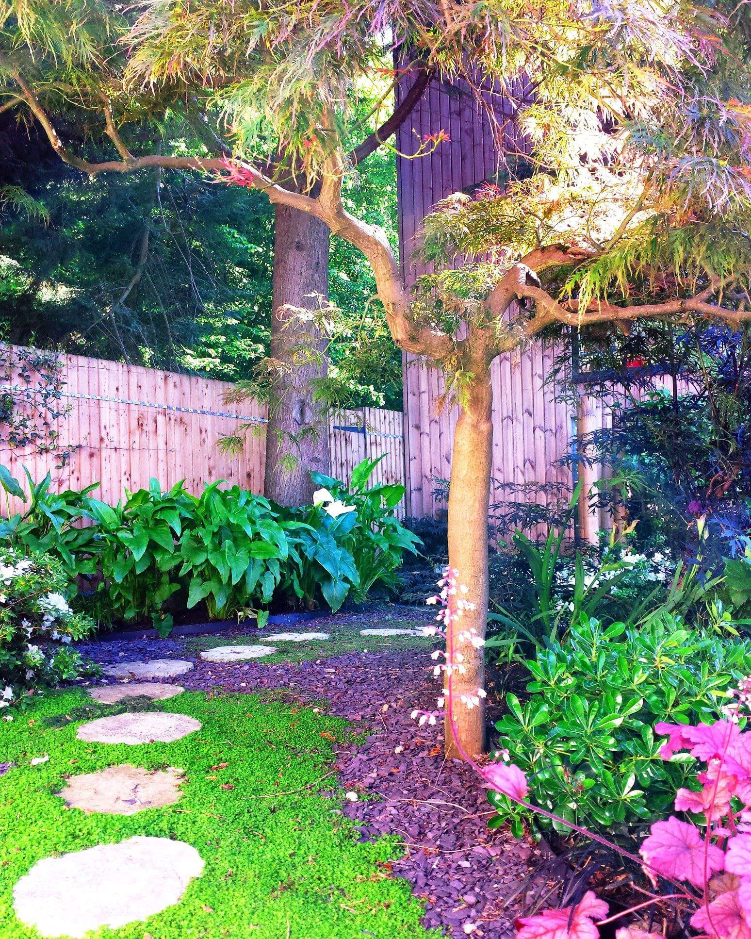 A path leading to gate surrounded by lush planting