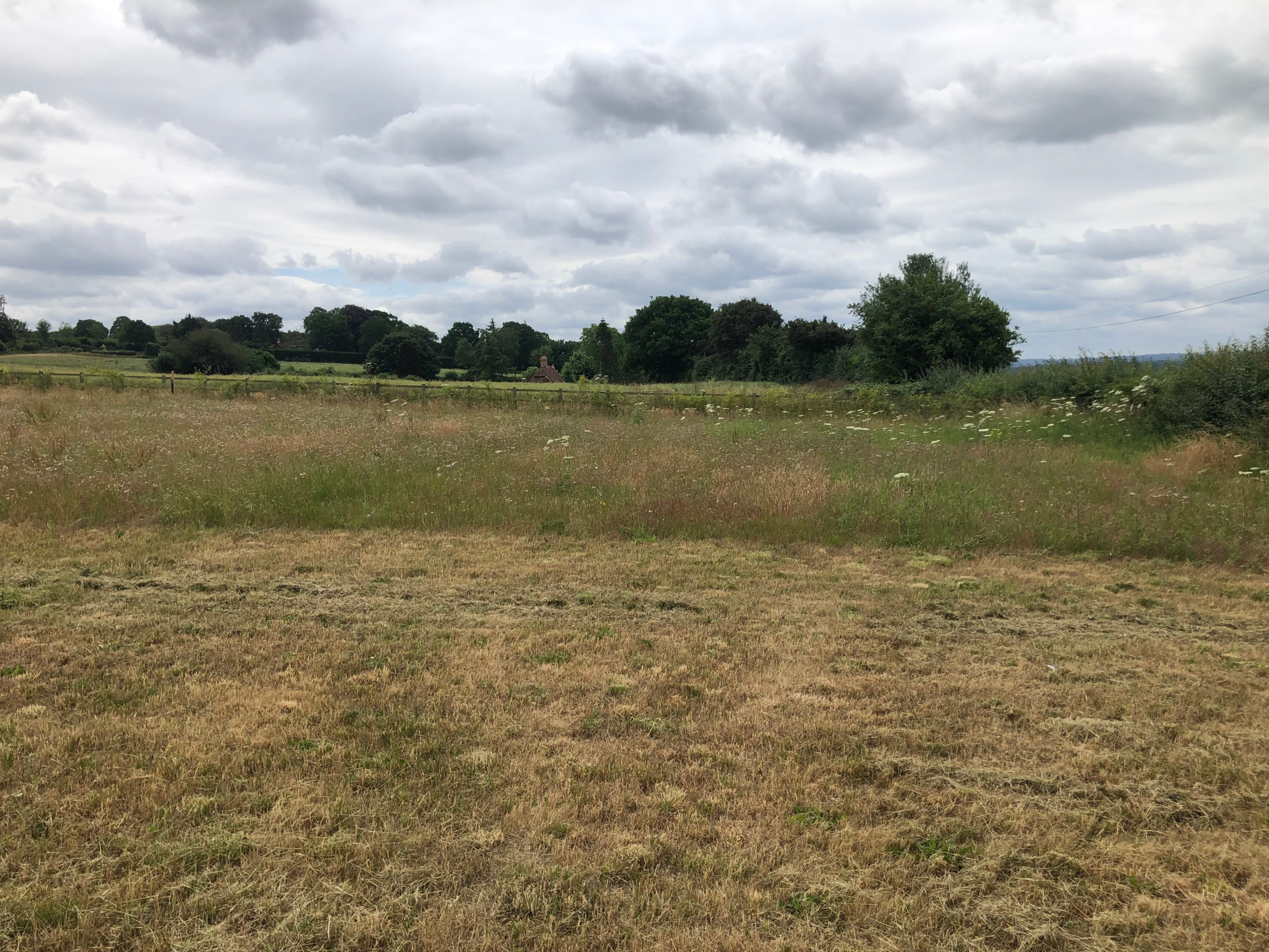 An empty, fallow field