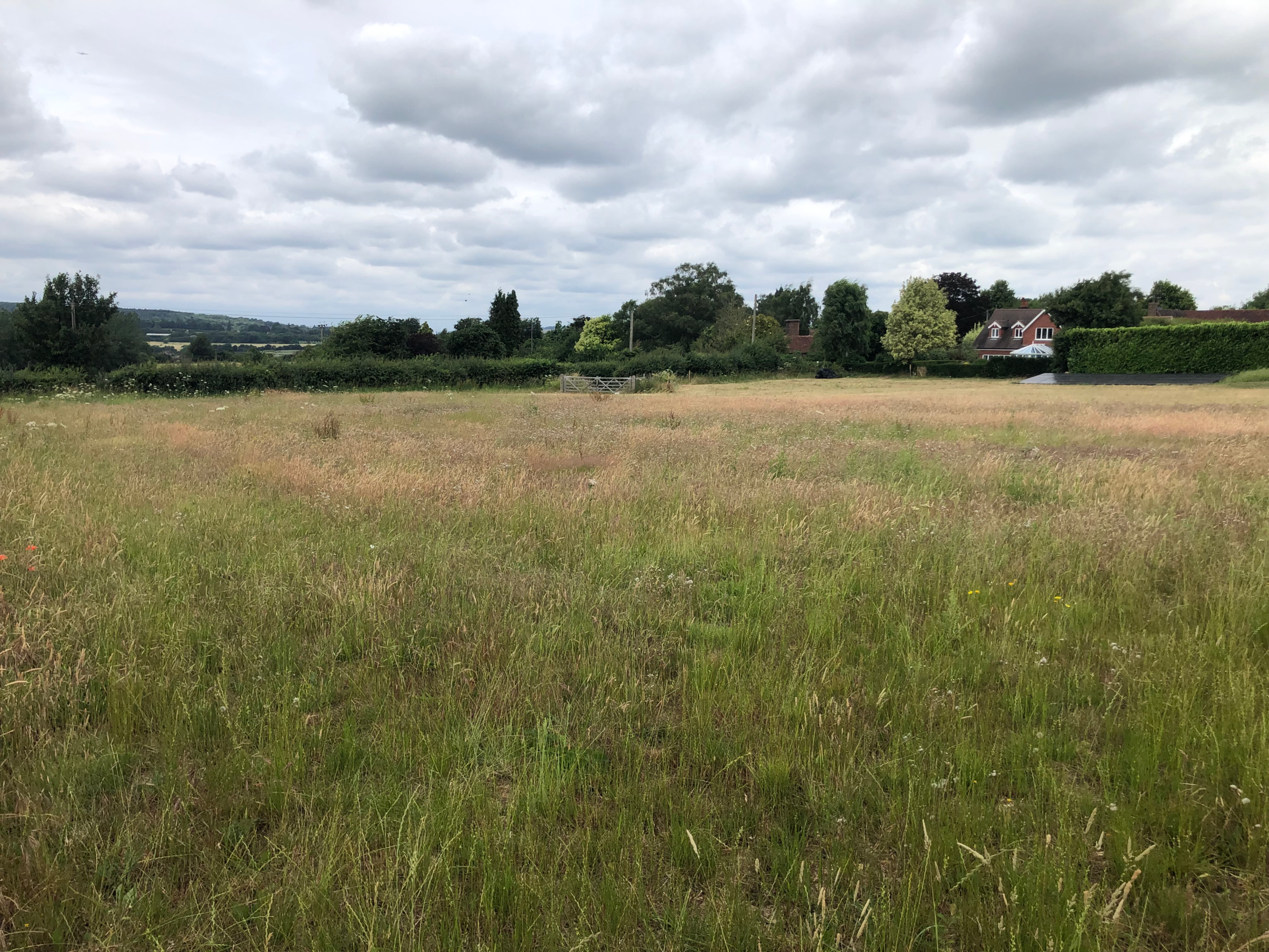 An empty, fallow field