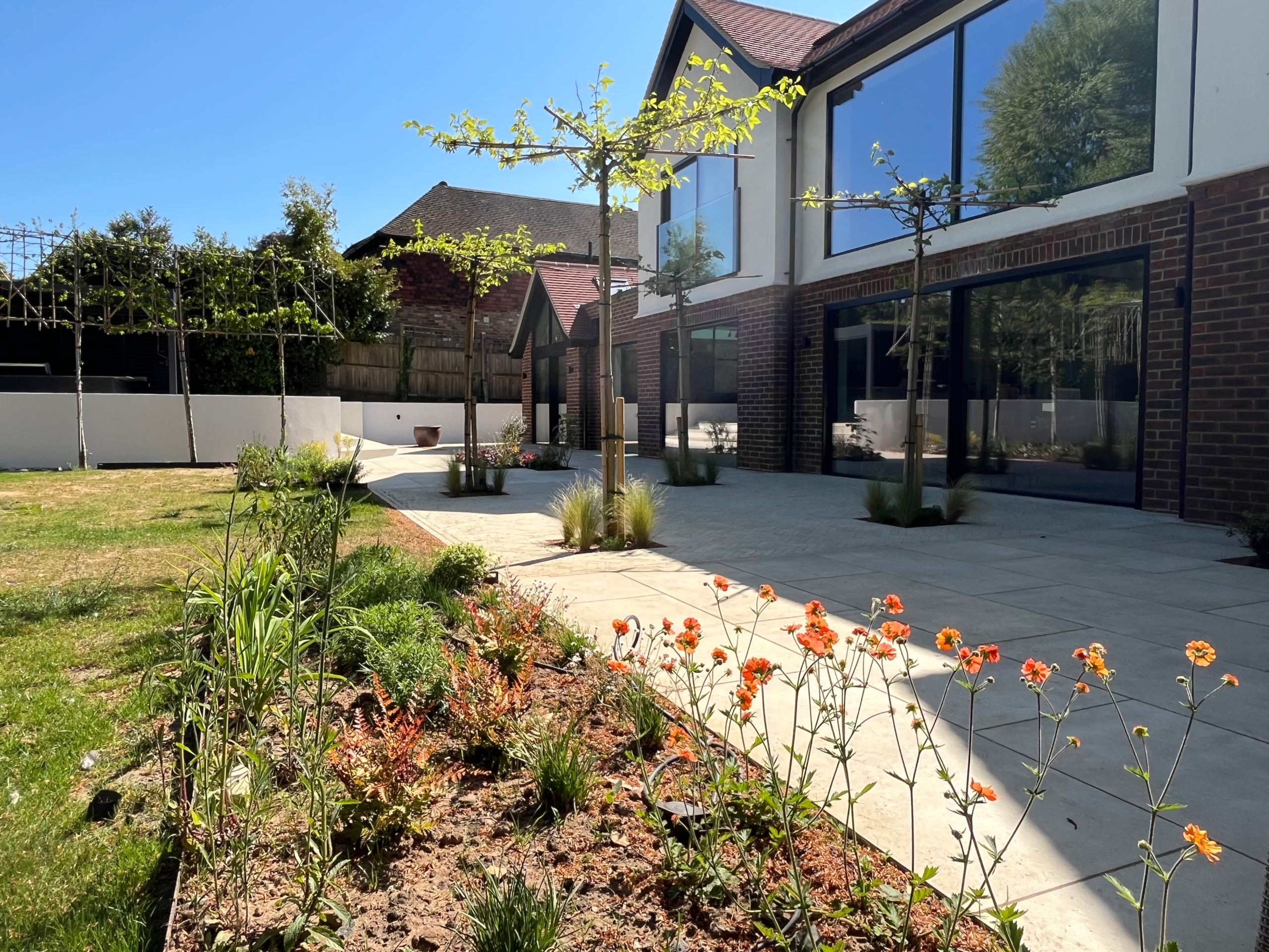 Parasol trees planted into the patio and pleached trees hiding an outdoor kitchen