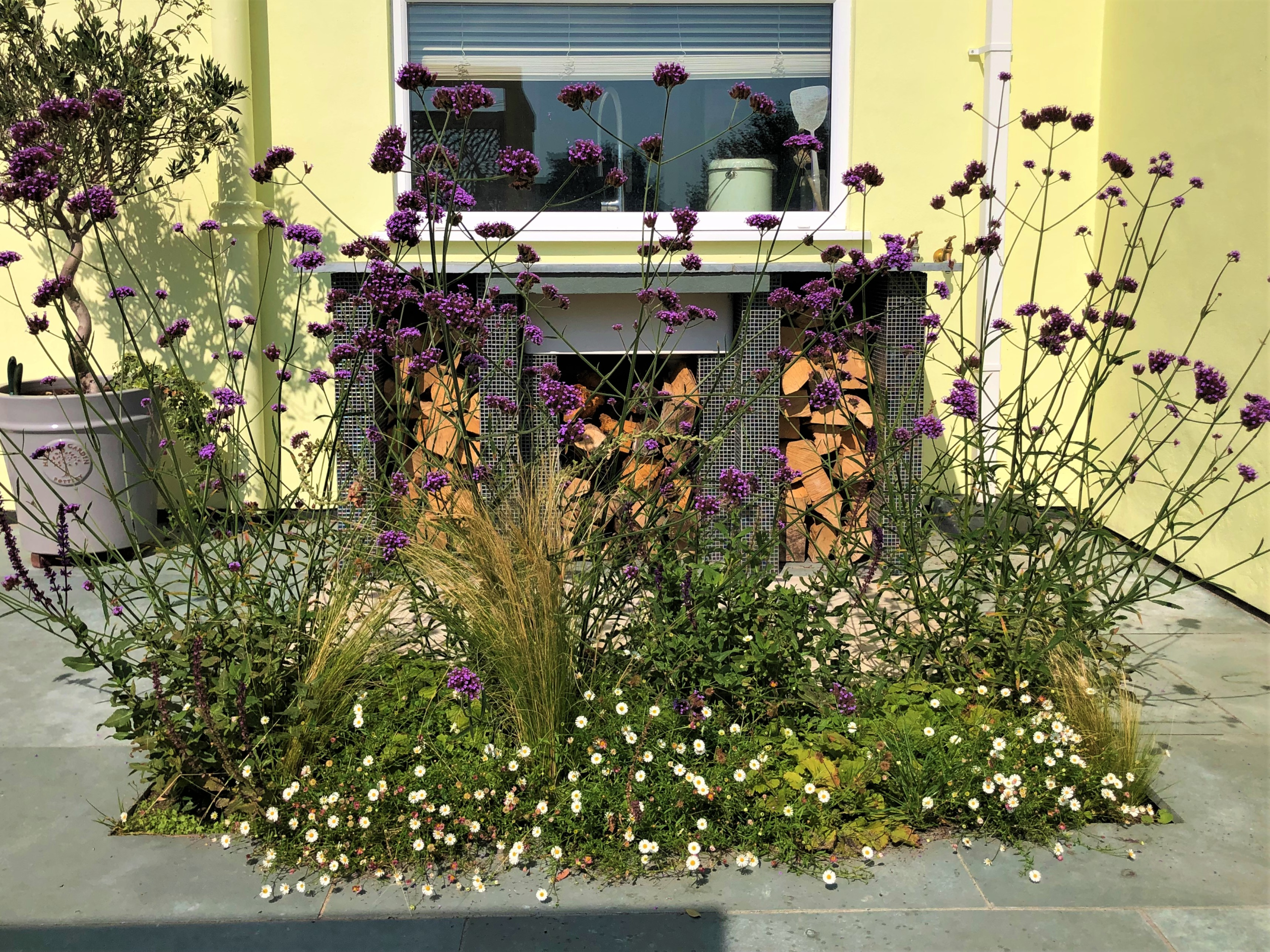 Planting and log store in a Bexley garden Bexley garden planting with Verbena bonariensis, Stipa and Erigeron in front of a mosaic-tiled log store